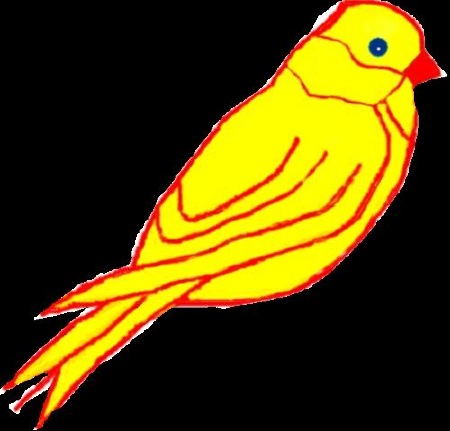 The Yellow Song Bird